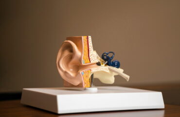 Conceptos básicos sobre audición